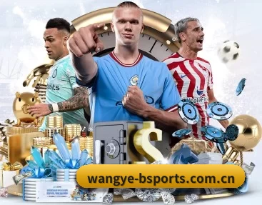 wangye-bsports.com.cn APP